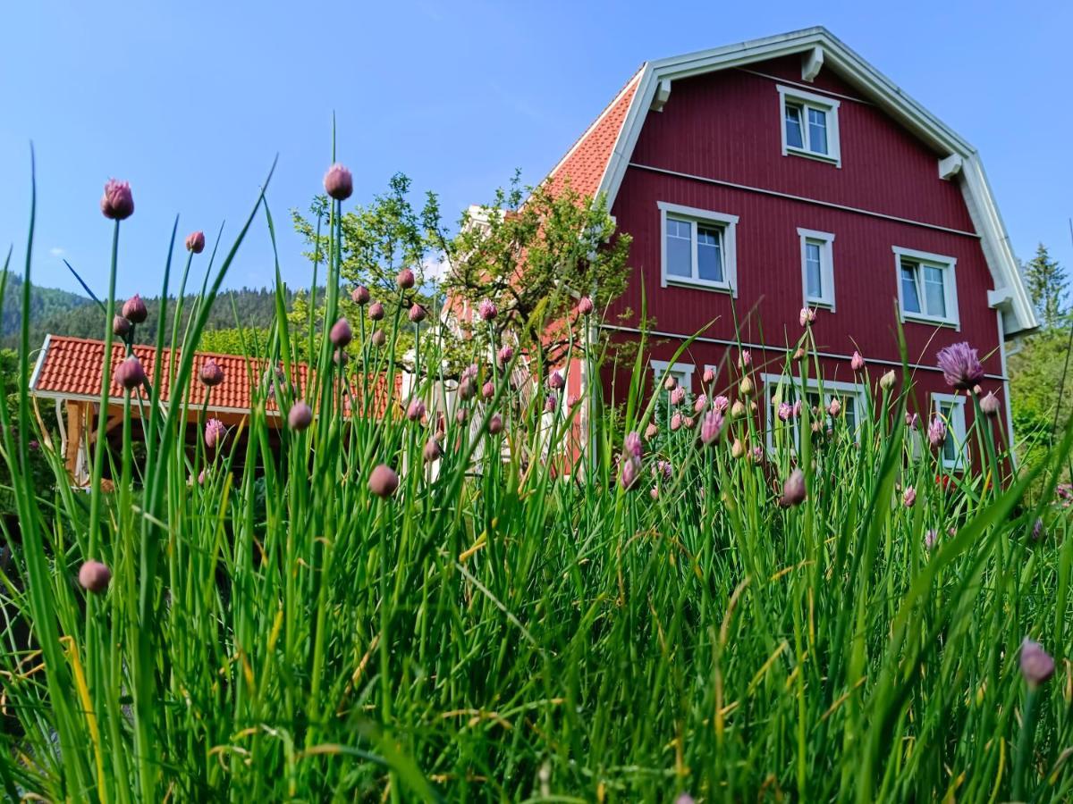 Haus Gruenfels Apartment Murau Exteriér fotografie