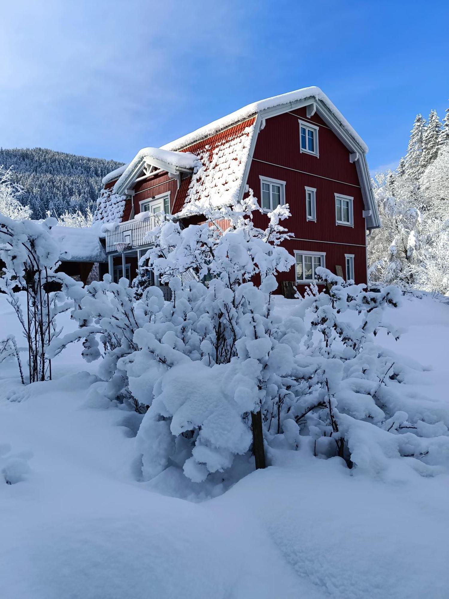 Haus Gruenfels Apartment Murau Exteriér fotografie